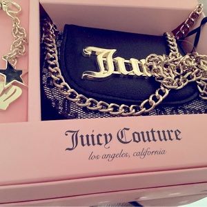 Pretty juicy couture small crossbody bag/wallet